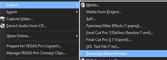 VEGAS Pro 15 - Broadcast Wave format support